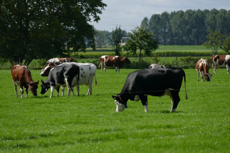 Het laatste nieuws van Stikstofclaim (nieuwsbrief mei 2025)